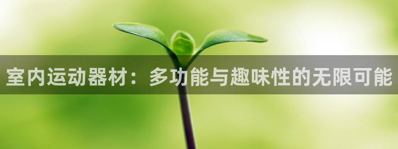 凯捷体育官网：室内运动器材：多功能与趣味性的无限可能