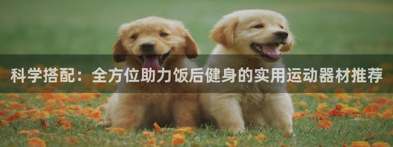 凯捷体育招商电话是多少啊：科学搭配：全方位助力饭后健