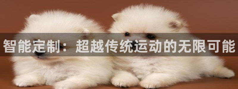 凯捷体育娱乐是那个系列的台子：智能定制：超越传统运动