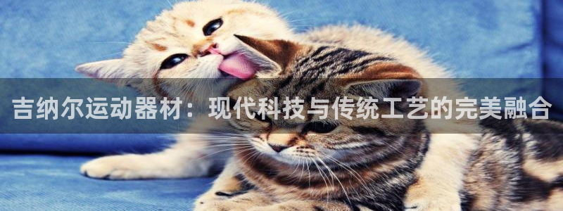 凯捷体育代理：吉纳尔运动器材：现代科技与传统工艺的完