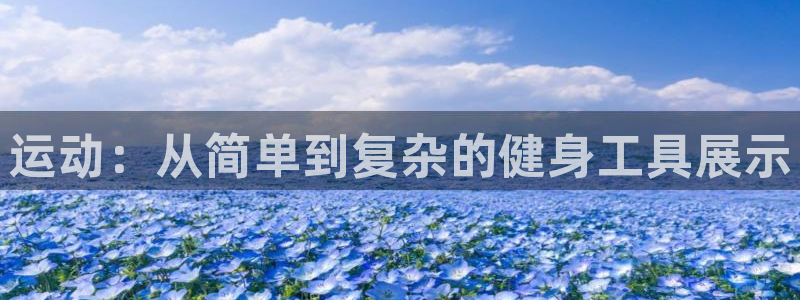 意昂集团官网：运动：从简单到复杂的健身工具展示