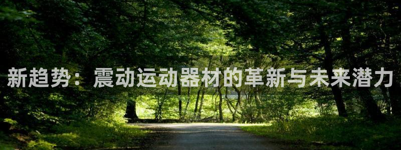 凯捷体育娱乐：新趋势：震动运动器材的革新与未来潜力
