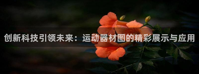 凯捷体育娱乐平台：创新科技引领未来：运动器材图的精彩