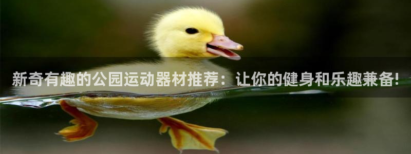 凯捷体育平台假的吗是真的吗吗：新奇有趣的公园运动器材推荐：让