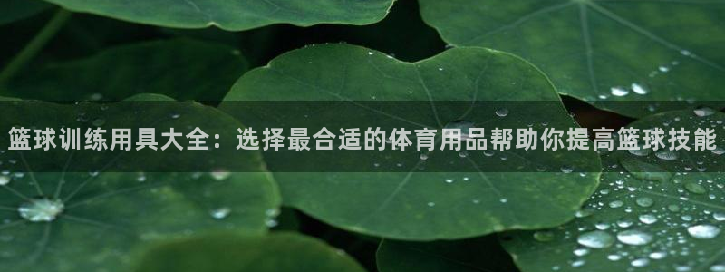 凯捷体育平台APP：篮球训练用具大全：选择最合适的体