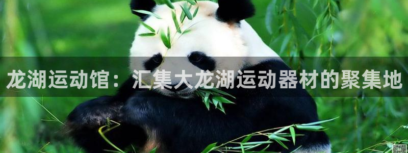 凯捷体育娱乐网站：龙湖运动馆：汇集大龙湖运动器材的聚
