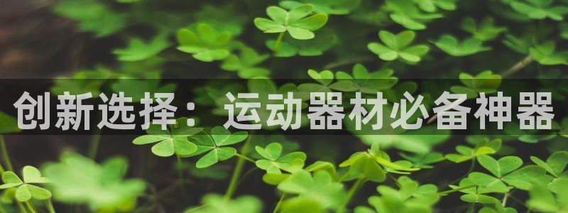 德国凯捷体育集团：创新选择：运动器材必备神器