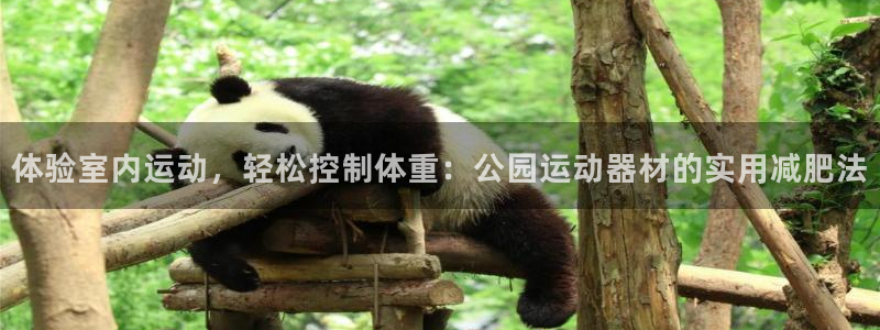 凯捷体育招商电话号码是多少：体验室内运动，轻松控制体