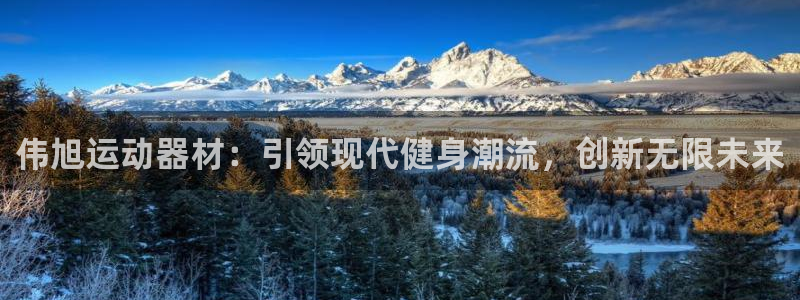 凯捷体育代理：伟旭运动器材：引领现代健身潮流，创新无