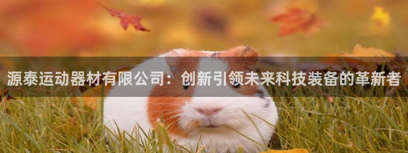 凯捷体育：源泰运动器材有限公司：创新引领未来科技装备