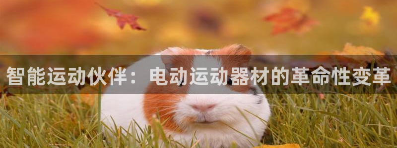 凯捷体育新能源：智能运动伙伴：电动运动器材的革命性变