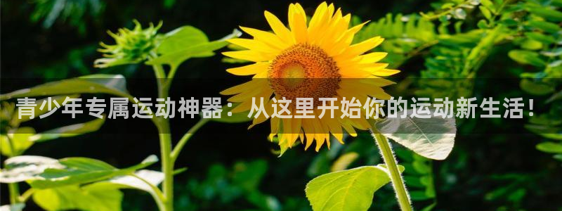 凯捷体育官网：青少年专属运动神器：从这里开始你的运动