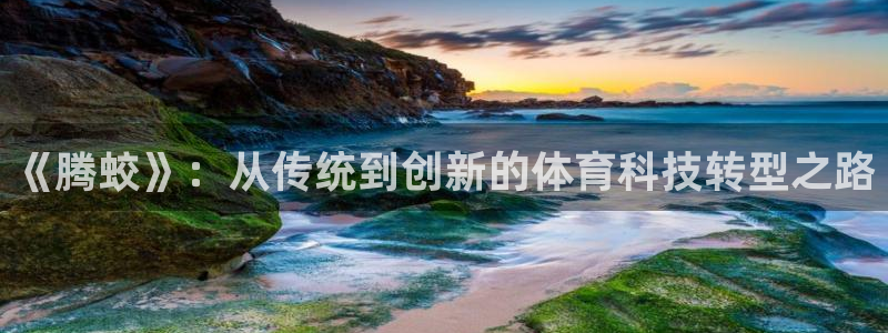 凯捷体育平台注册：《腾蛟》：从传统到创新的体育科技转