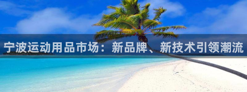 凯捷体育是干嘛的公司：宁波运动用品市场：新品牌、新技