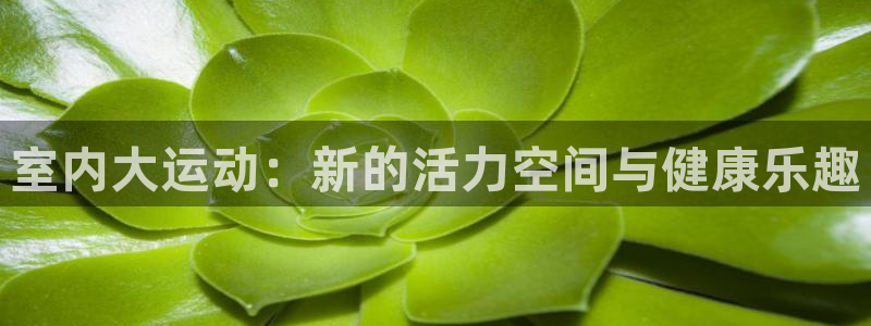 凯捷体育娱乐40996：室内大运动：新的活力空间与健