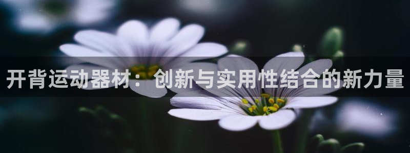 凯捷体育集团官网首页网址：开背运动器材：创新与实用性