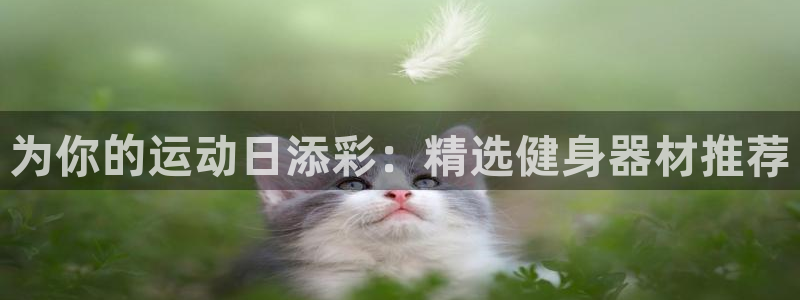凯捷体育平台是正规平台吗知乎：为你的运动日添彩：精选