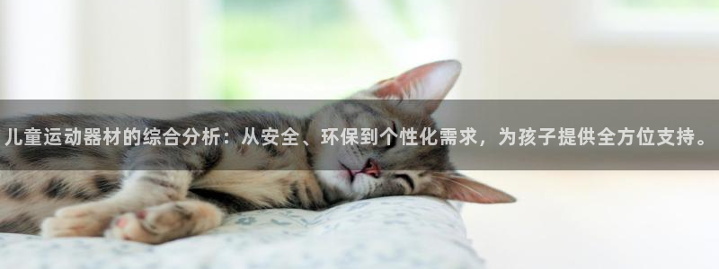 凯捷体育平台是正规平台吗安全吗：儿童运动器材的综合分