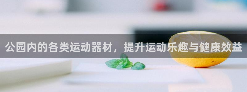 凯捷体育软件：公园内的各类运动器材，提升运动乐趣与健