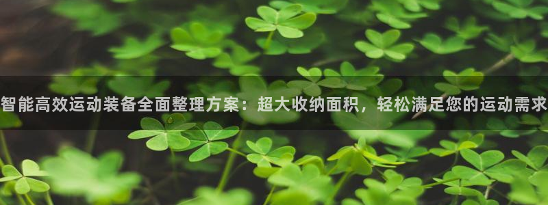 凯捷体育平台APP：智能高效运动装备全面整理方案：超