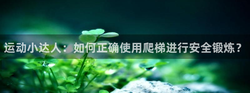 凯捷体育娱乐首页网站大全：运动小达人：如何正确使用爬
