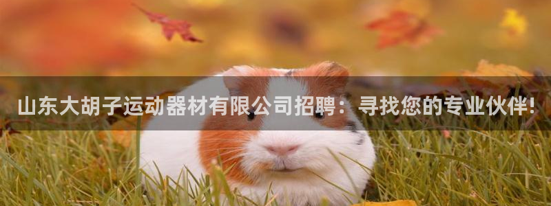 凯捷体育招商电话是多少号码：山东大胡子运动器材有限公
