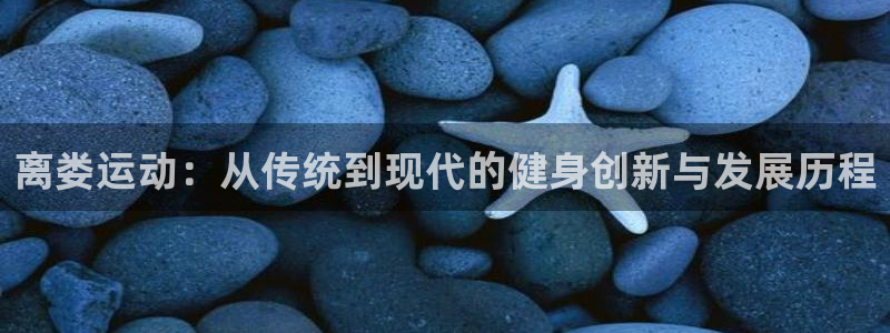 凯捷体育平台注册流程图：离娄运动：从传统到现代的健身