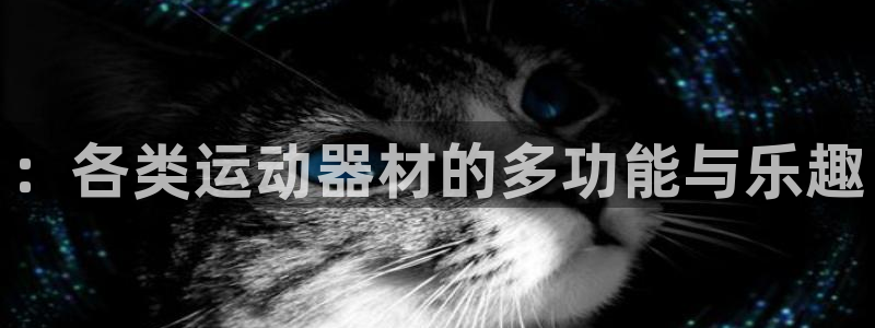 意昂平台体育：：各类运动器材的多功能与乐趣