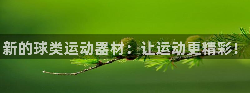 凯捷体育平台：新的球类运动器材：让运动更精彩！