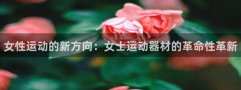 凯捷体育官方：女性运动的新方向：女士运动器材的革命性革新