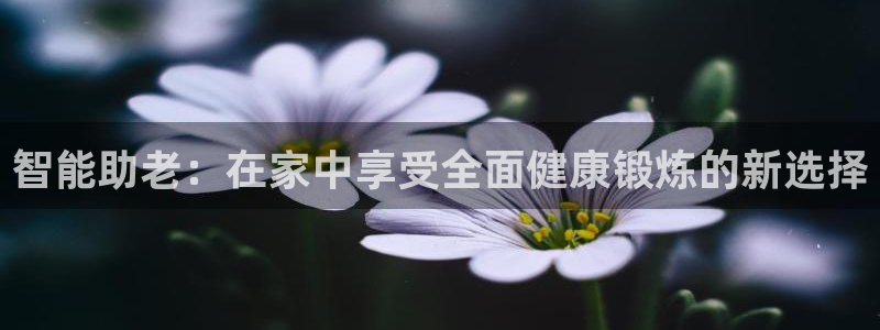 凯捷体育是干嘛的公司：智能助老：在家中享受全面健康锻