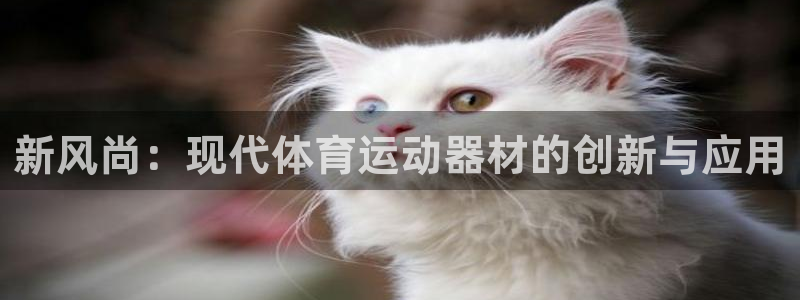 凯捷体育娱乐代理怎么样：新风尚：现代体育运动器材的创