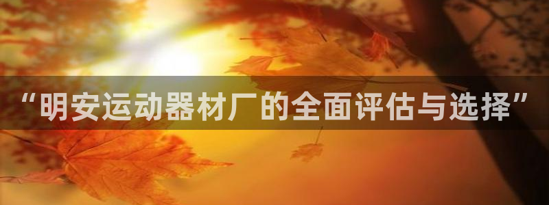 意昂集团官网：“明安运动器材厂的全面评估与选择”