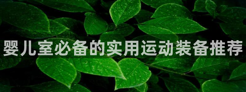 海南凯捷体育发展怎么样：婴儿室必备的实用运动装备推荐