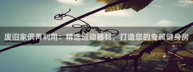 凯捷体育集团logo：废旧家俱再利用：精选运动器材，