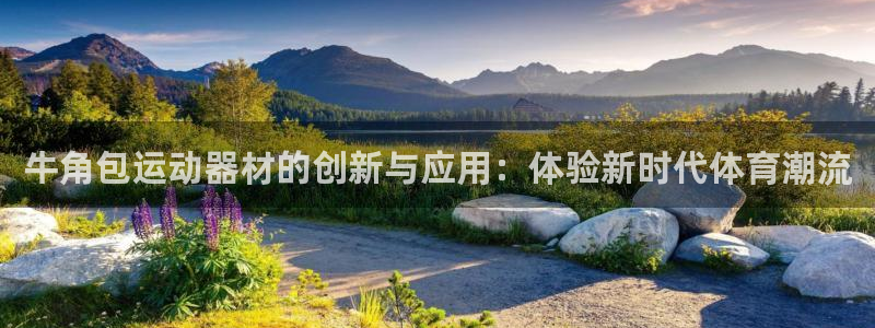 凯捷体育代理