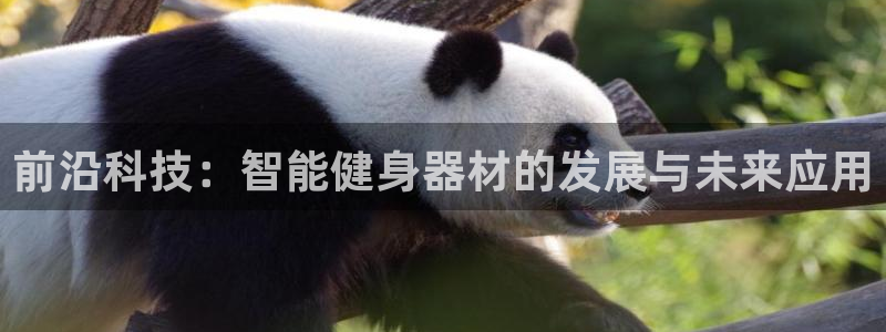 凯捷体育娱乐是那个系列的台子：前沿科技：智能健身器材