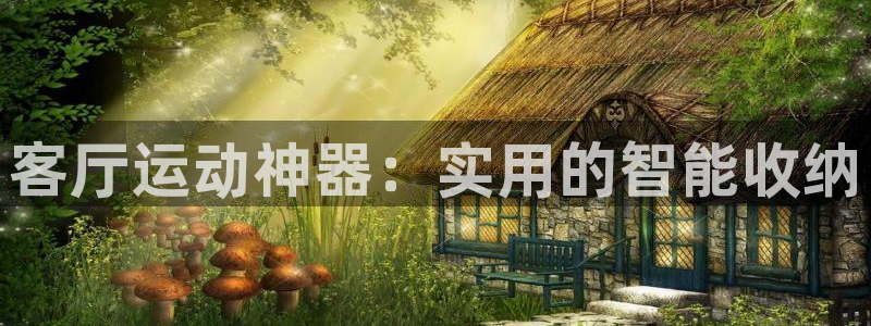 凯捷体育集团官网首页：客厅运动神器：实用的智能收纳