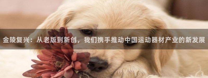 凯捷体育官方：金陵复兴：从老版到新创，我们携手推动中