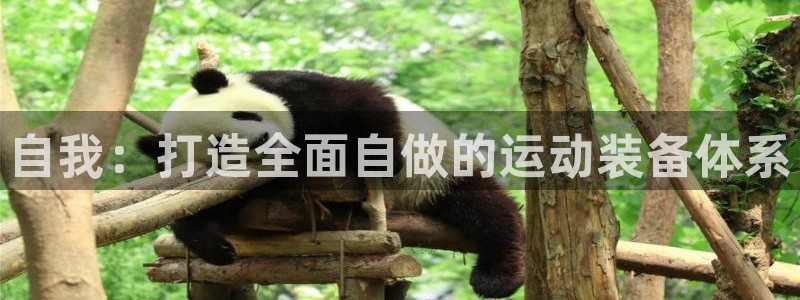 凯捷体育新能源：自我：打造全面自做的运动装备体系