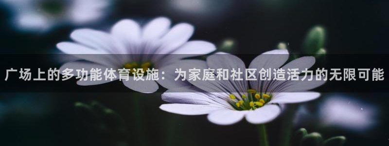 凯捷体育娱乐下载：广场上的多功能体育设施：为家庭和社