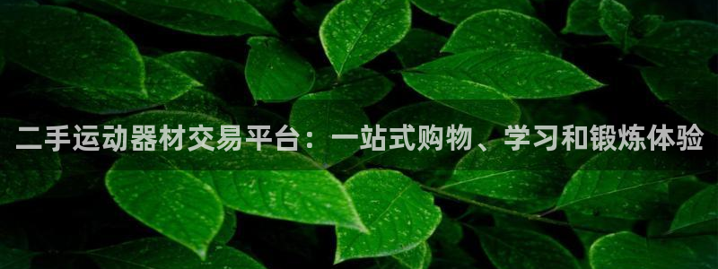 凯捷体育开户：二手运动器材交易平台：一站式购物、学习和锻炼体