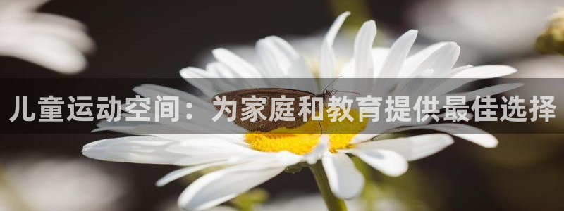 凯捷体育娱乐：儿童运动空间：为家庭和教育提供最佳选择
