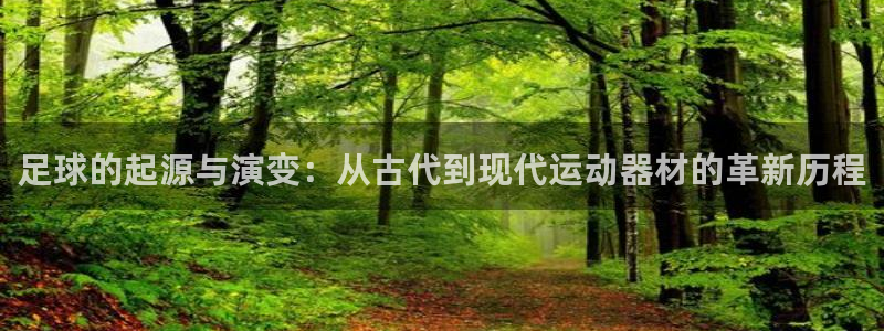 凯捷体育平台注册：足球的起源与演变：从古代到现代运动