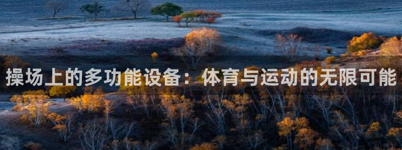 意昂集团官网：操场上的多功能设备：体育与运动的无限可能