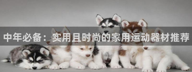 凯捷体育开户