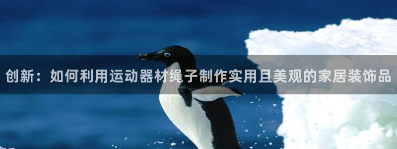 海南凯捷体育发展怎么样：创新：如何利用运动器材绳子制作实用且
