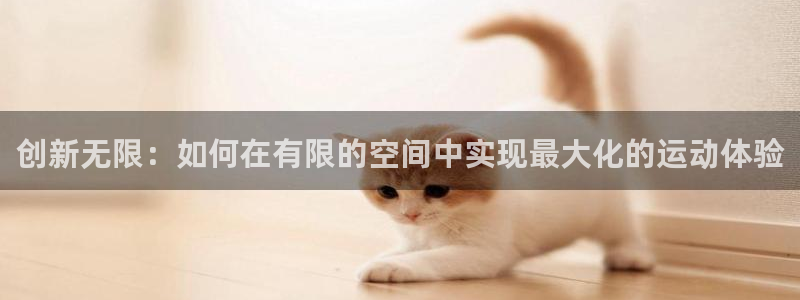 凯捷体育新能源：创新无限：如何在有限的空间中实现最大化的运动