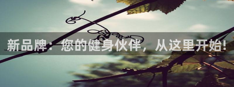 凯捷体育集团E.ON：新品牌：您的健身伙伴，从这里开始!
