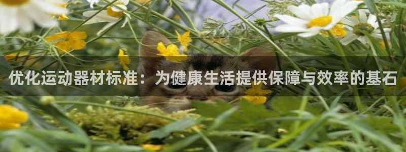 凯捷体育官网：优化运动器材标准：为健康生活提供保障与